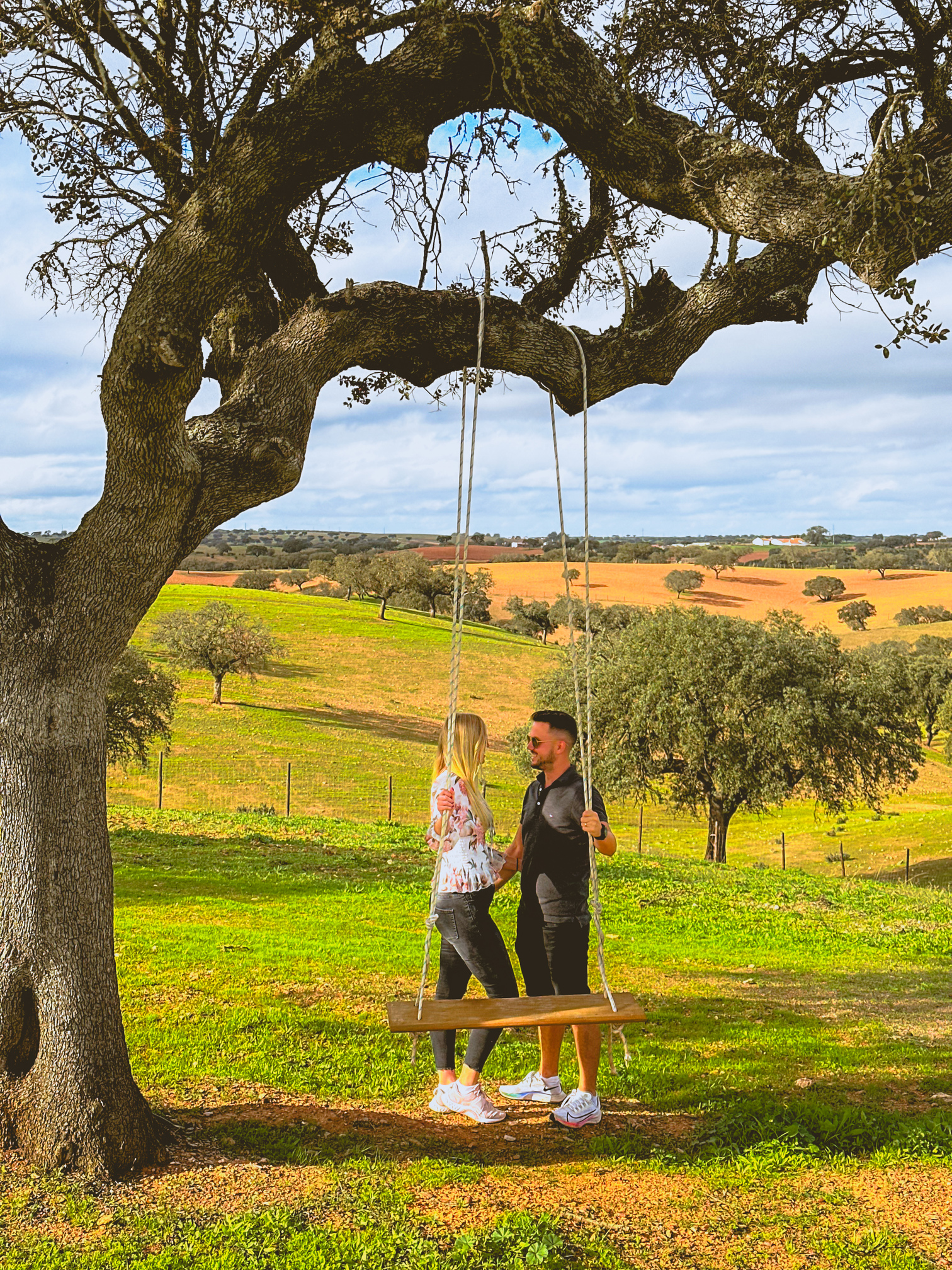 Baloiço na azinheira com vista para o campo