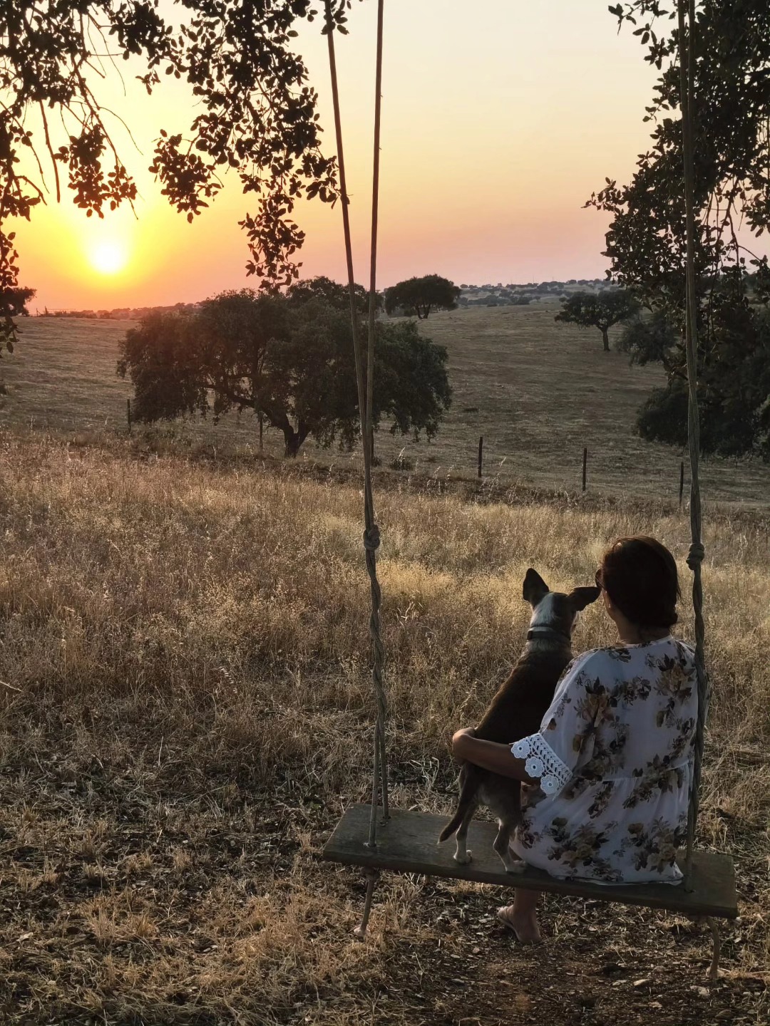 Baloiço com vista para o campo ao pôr-do-sol