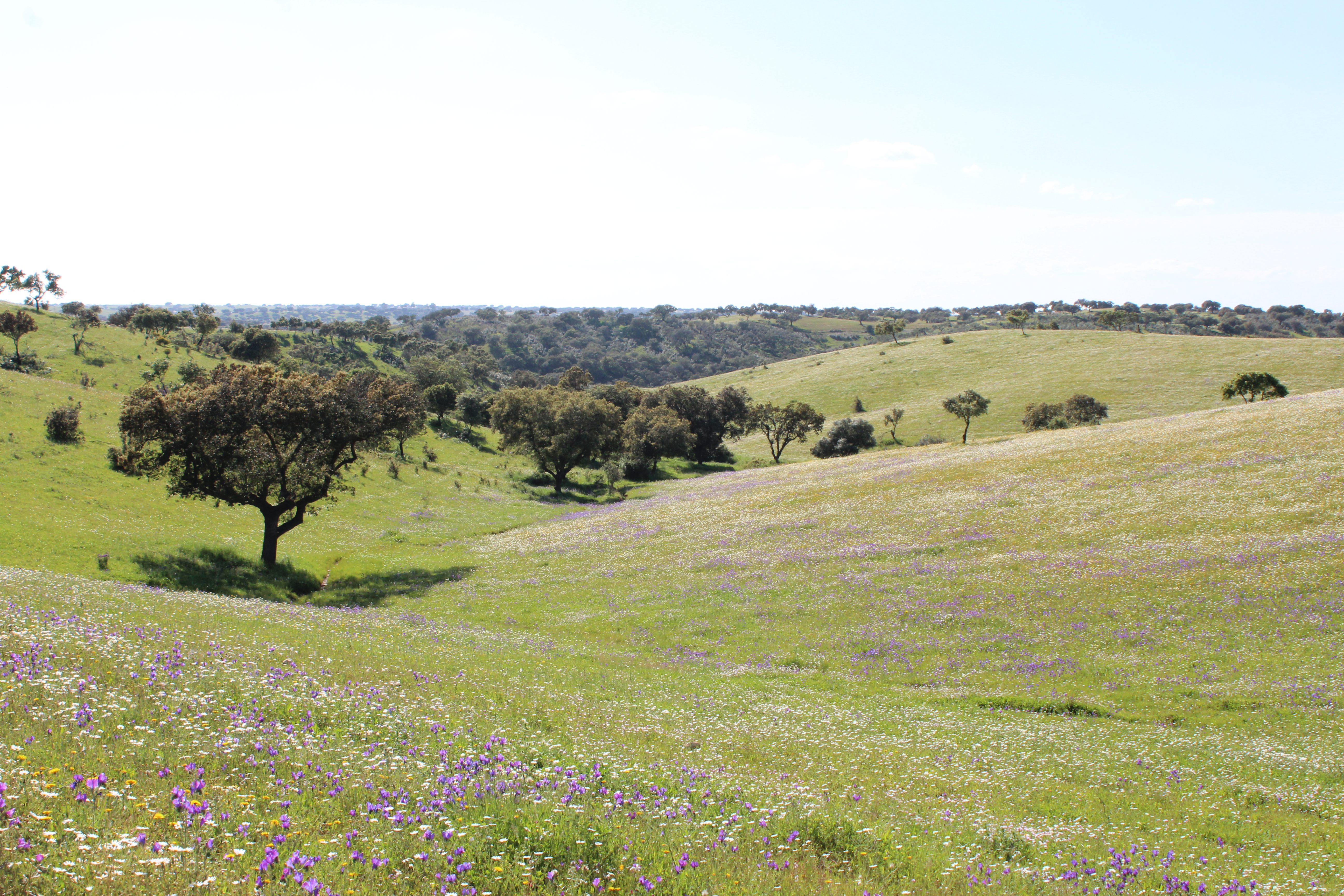 Natureza.